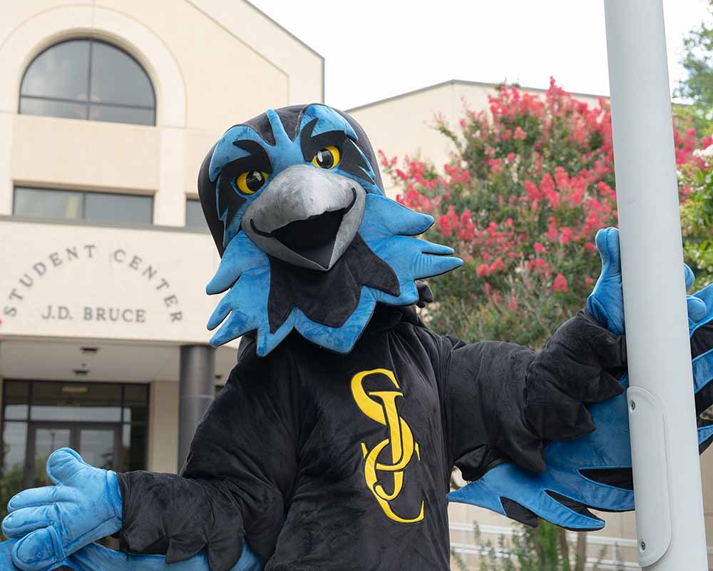 poe the raven, mascot