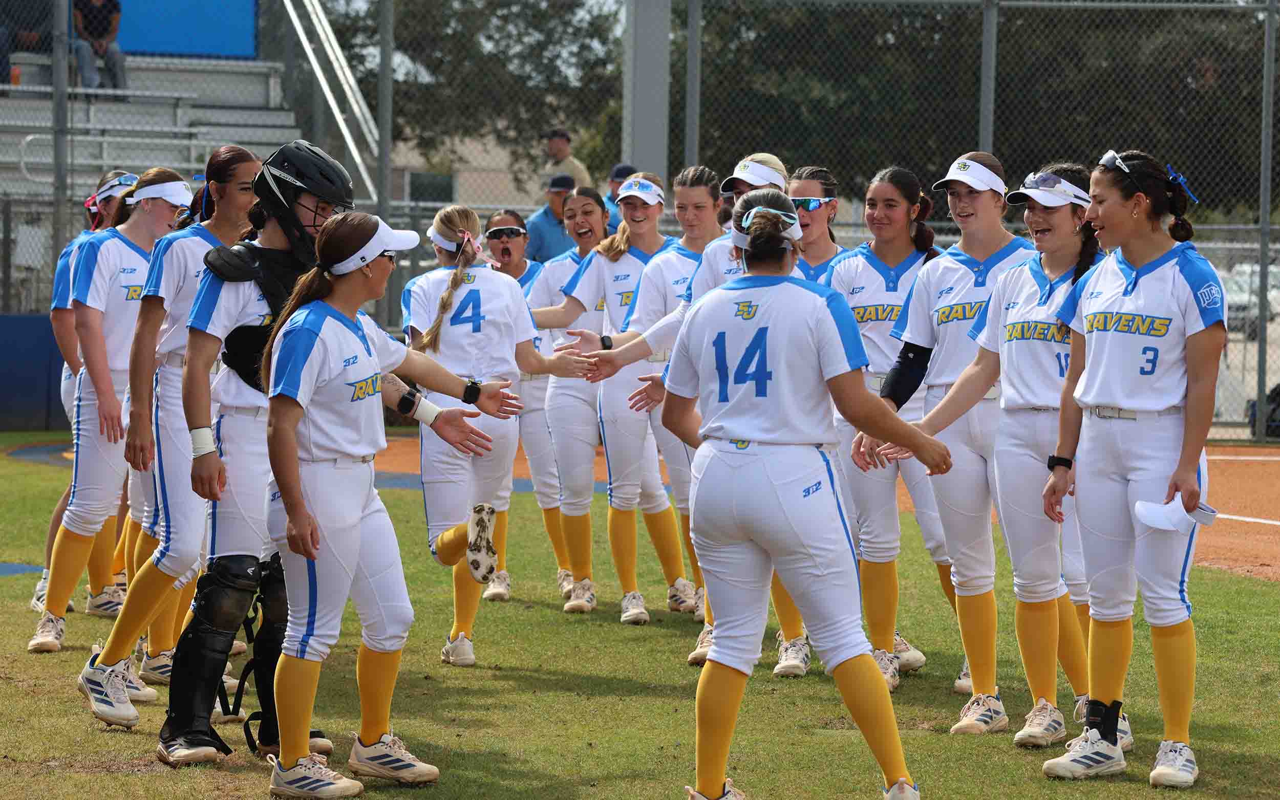 Ravens Softball